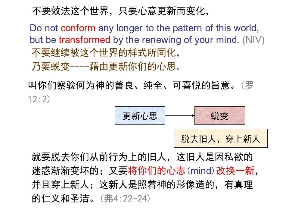 圣经图表——《罗马书》(图144) 圣经图表——《罗马书》(图144)