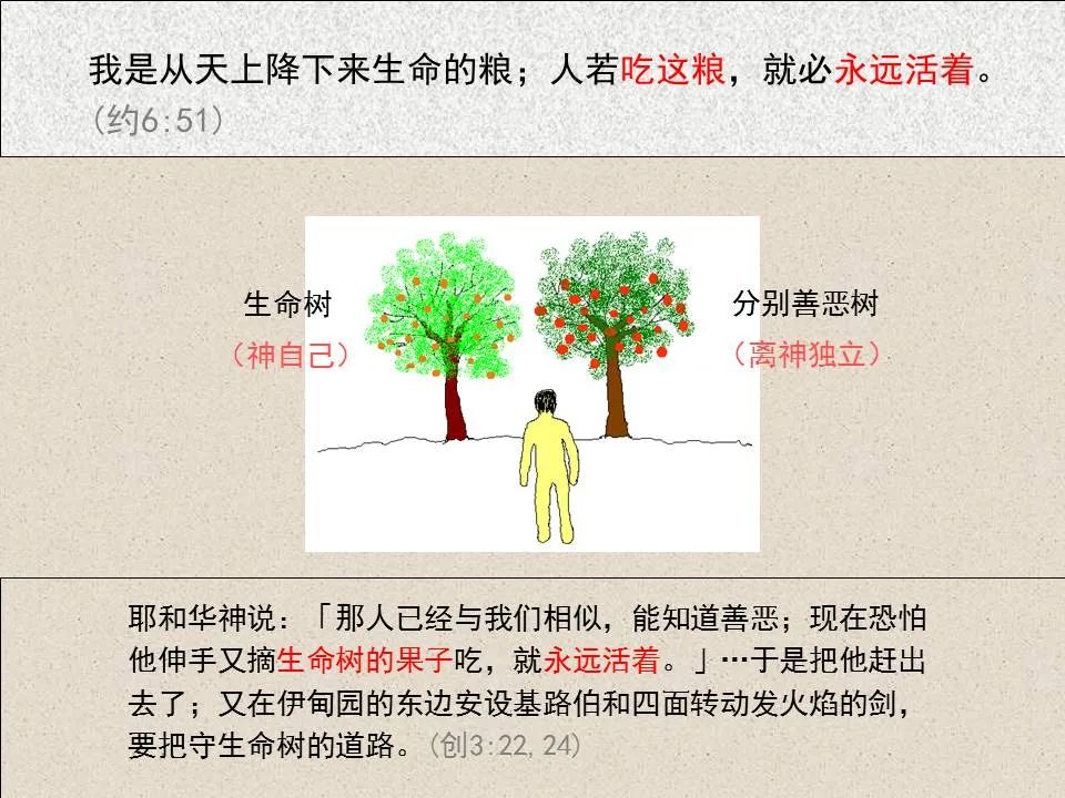 圣经图表——《约翰福音》上(图61) 圣经图表——《约翰福音》上(图61)