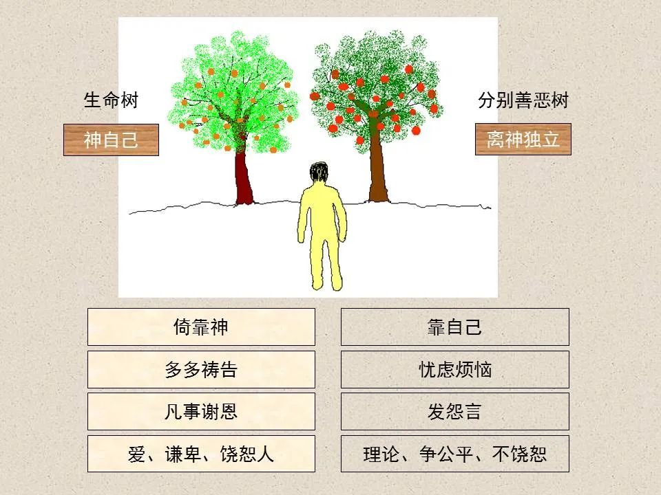 圣经图表——《约翰福音》上(图105) 圣经图表——《约翰福音》上(图105)