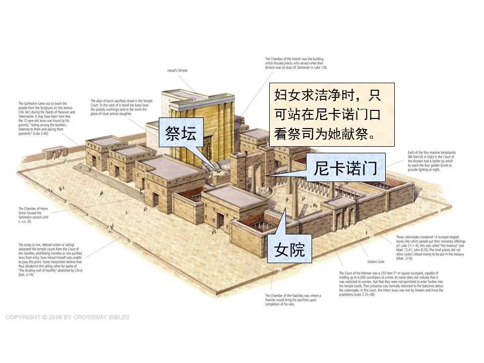 圣经图表——《路加福音》上(图31) 圣经图表——《路加福音》上(图31)