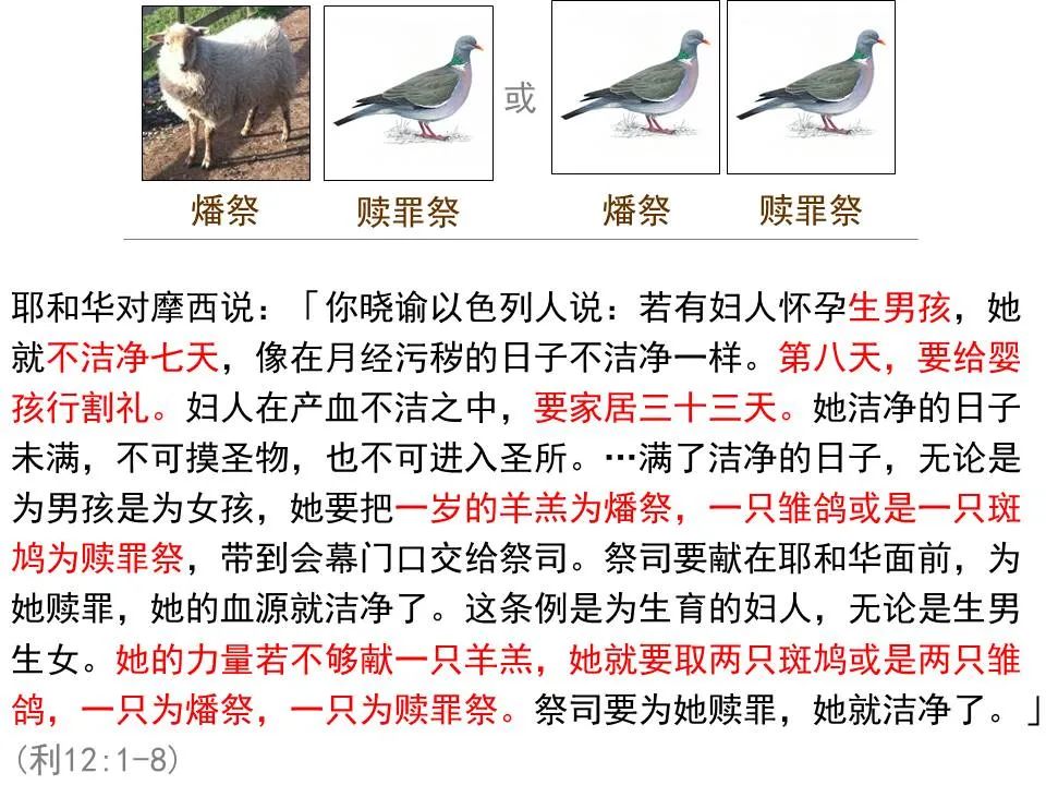 圣经图表——《路加福音》上(图30) 圣经图表——《路加福音》上(图30)