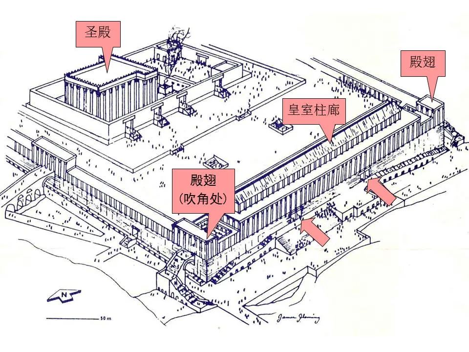 圣经图表——《路加福音》上(图53) 圣经图表——《路加福音》上(图53)