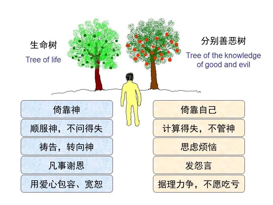 圣经图表——《路加福音》上(图103) 圣经图表——《路加福音》上(图103)