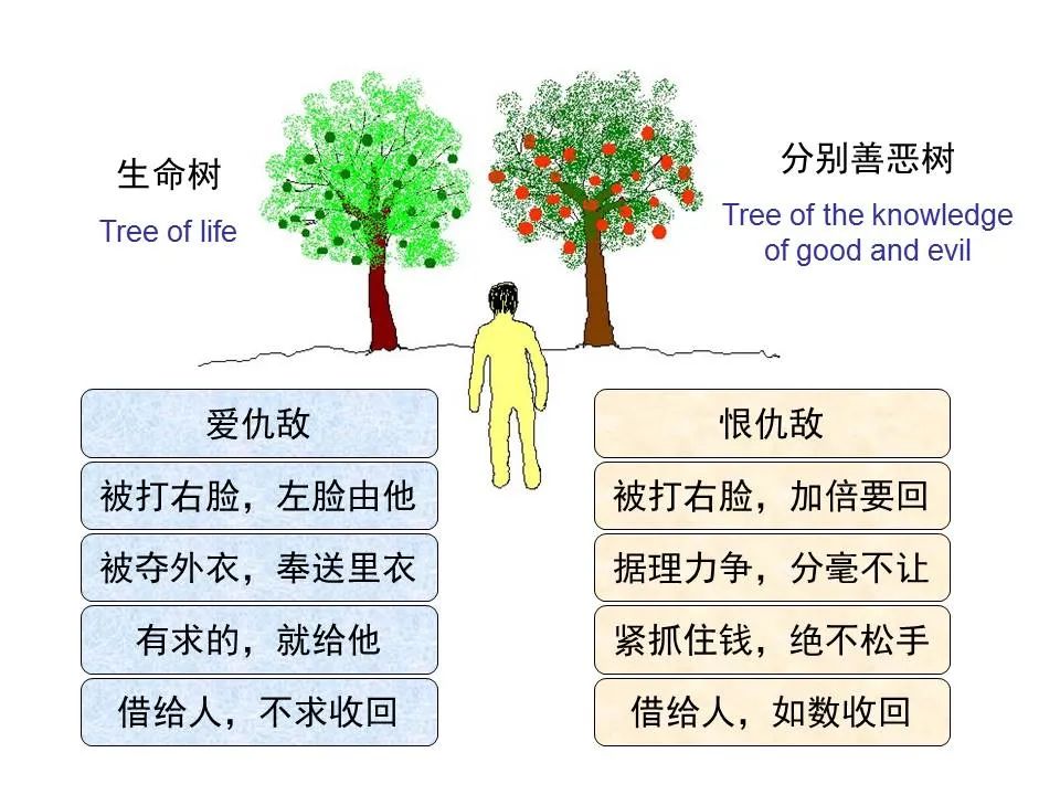 圣经图表——《路加福音》上(图104) 圣经图表——《路加福音》上(图104)