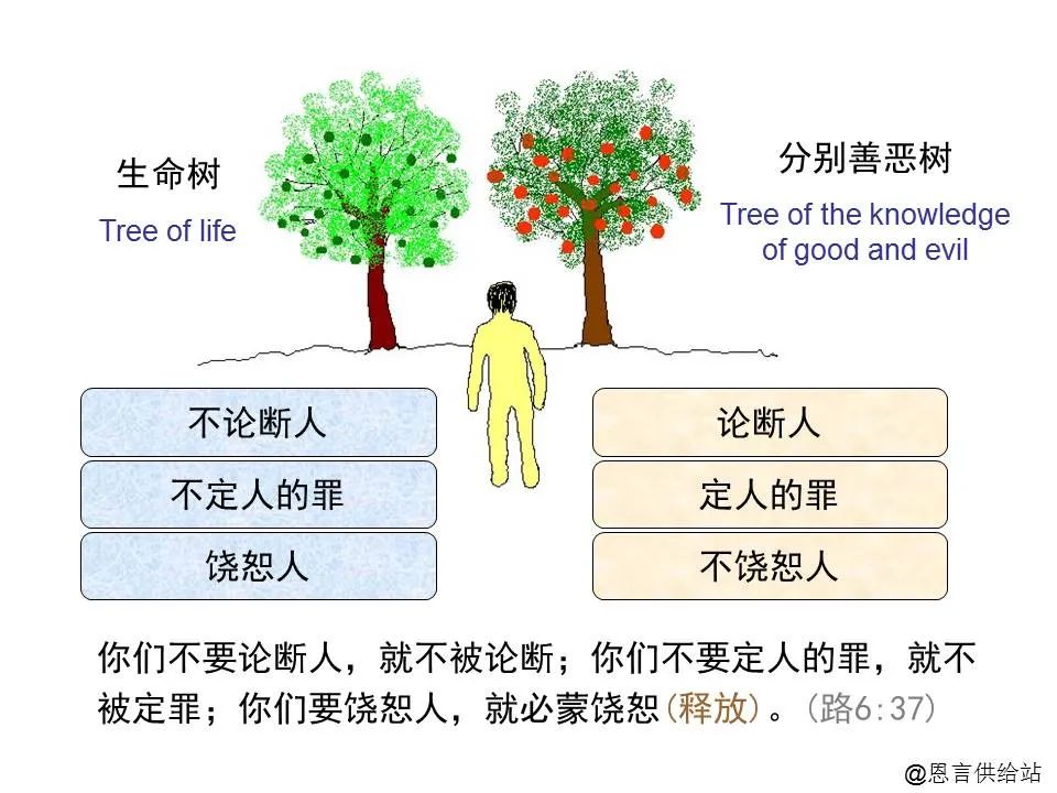圣经图表——《路加福音》上(图105) 圣经图表——《路加福音》上(图105)