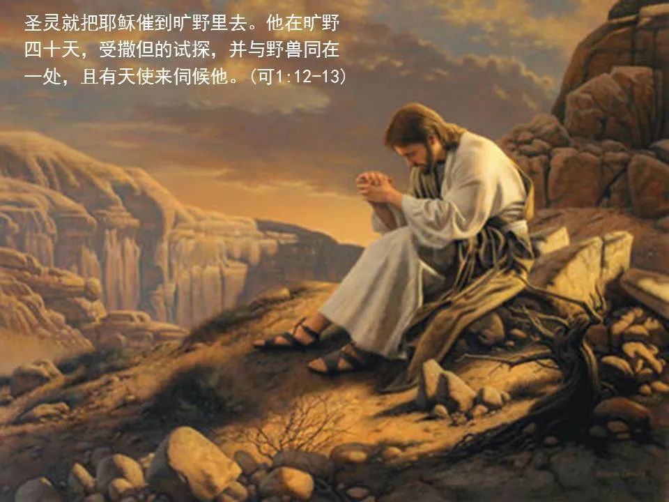 圣经图表——《马可福音》上(图7) 圣经图表——《马可福音》上(图7)