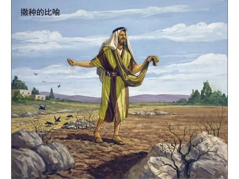 圣经图表——《马可福音》上(图41) 圣经图表——《马可福音》上(图41)