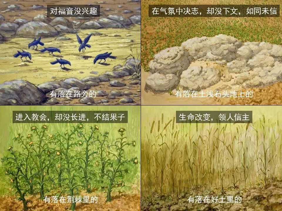 圣经图表——《马可福音》上(图42) 圣经图表——《马可福音》上(图42)