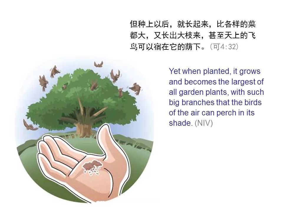 圣经图表——《马可福音》上(图46) 圣经图表——《马可福音》上(图46)