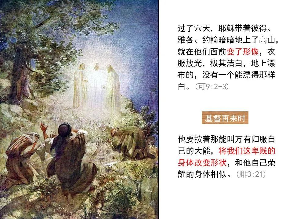 圣经图表——《马可福音》上(图94) 圣经图表——《马可福音》上(图94)