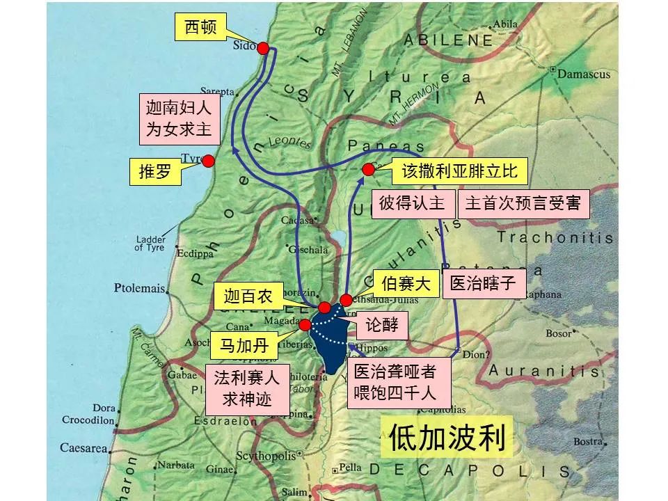 圣经图表——《马可福音》上(图88) 圣经图表——《马可福音》上(图88)