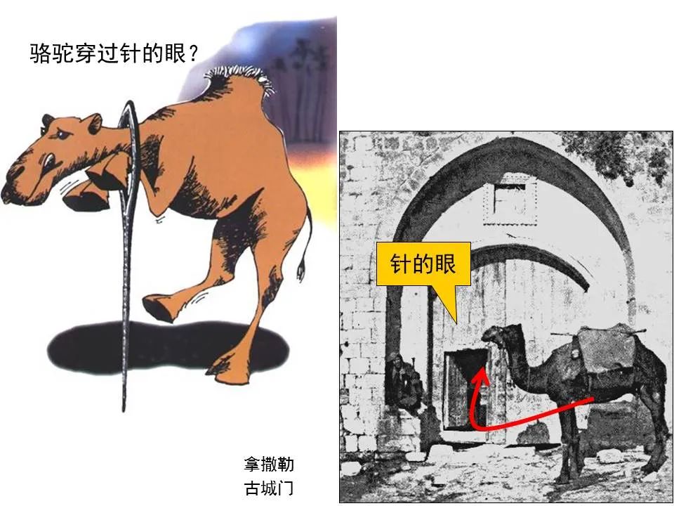 圣经图表——《马可福音》上(图114) 圣经图表——《马可福音》上(图114)