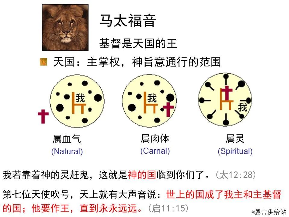 圣经图表——《马太福音》上(图23) 圣经图表——《马太福音》上(图23)