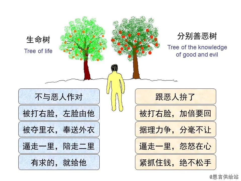 圣经图表——《马太福音》上(图64) 圣经图表——《马太福音》上(图64)