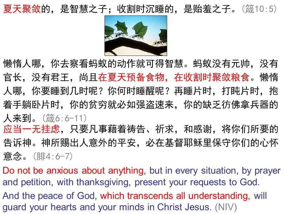 圣经图表——《马太福音》上(图90) 圣经图表——《马太福音》上(图90)