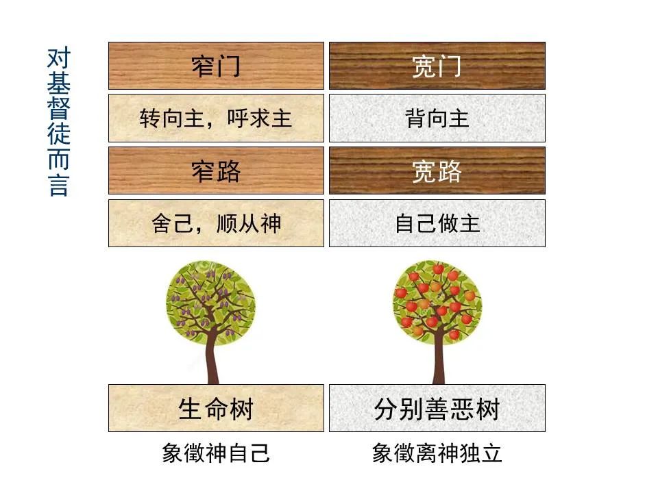 圣经图表——《马太福音》上(图100) 圣经图表——《马太福音》上(图100)