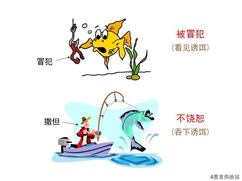 圣经图表——《马太福音》上(图79) 圣经图表——《马太福音》上(图79)