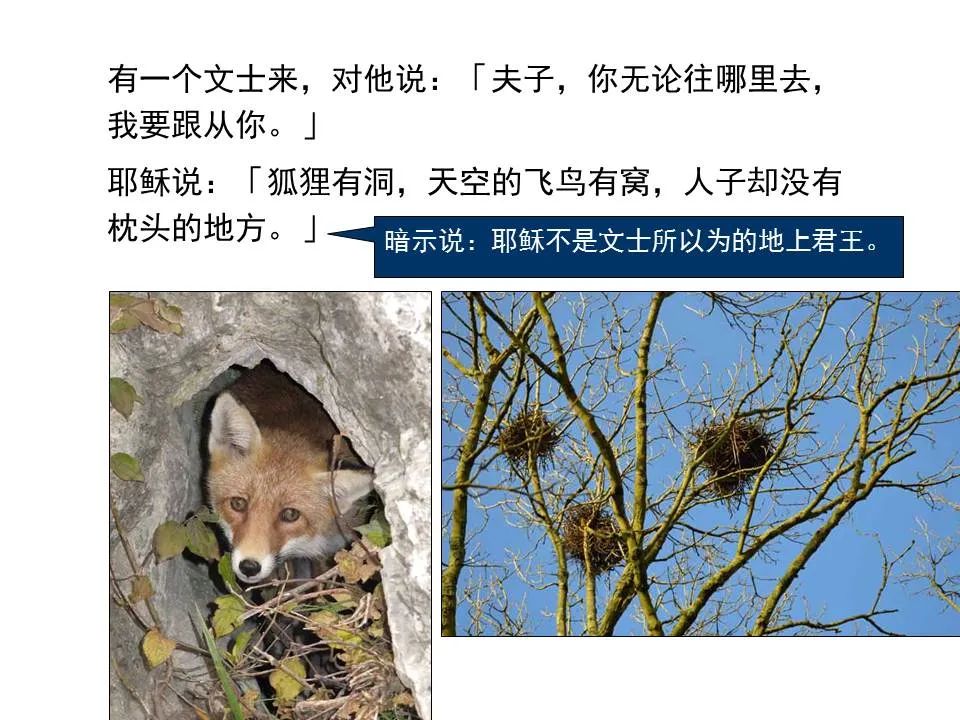 圣经图表——《马太福音》上(图117) 圣经图表——《马太福音》上(图117)