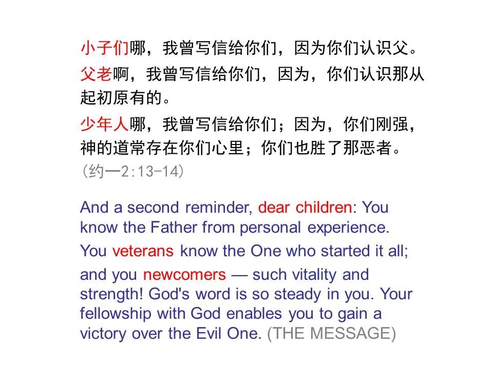 圣经图表——《约翰一、二、三书》(图11) 圣经图表——《约翰一、二、三书》(图11)