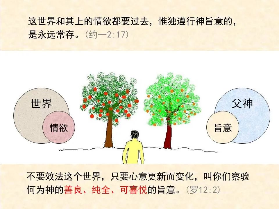 圣经图表——《约翰一、二、三书》(图21) 圣经图表——《约翰一、二、三书》(图21)