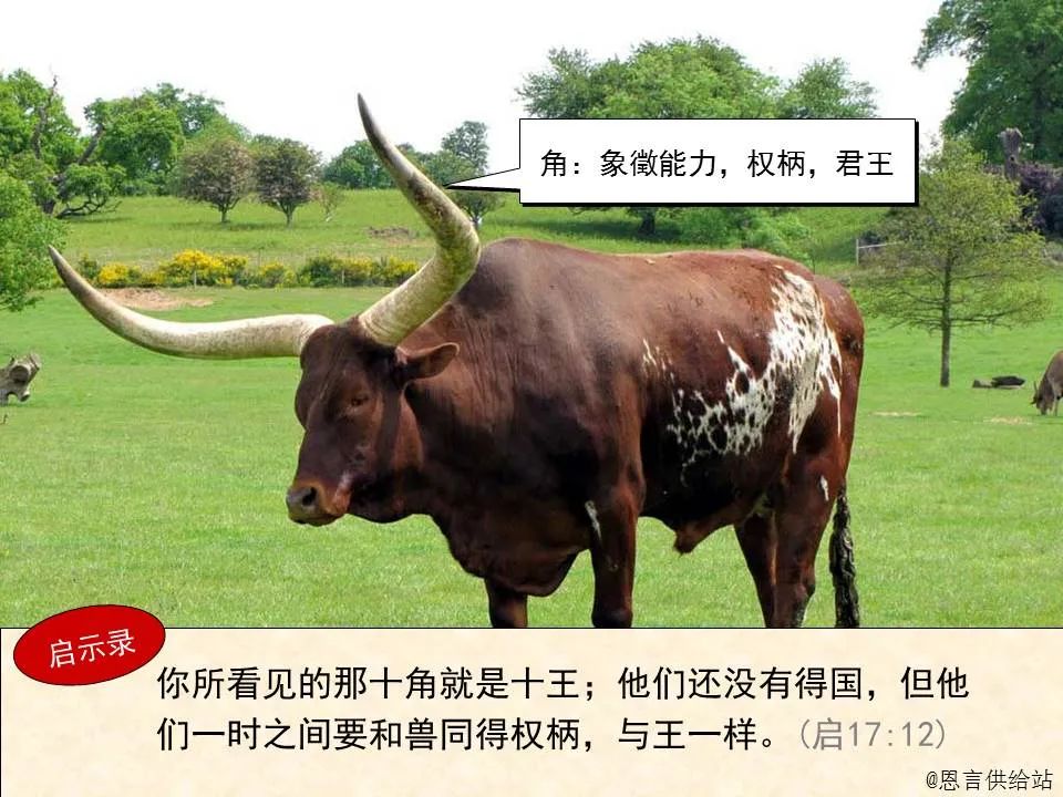 圣经图表——《撒迦利亚书》(图13) 圣经图表——《撒迦利亚书》(图13)