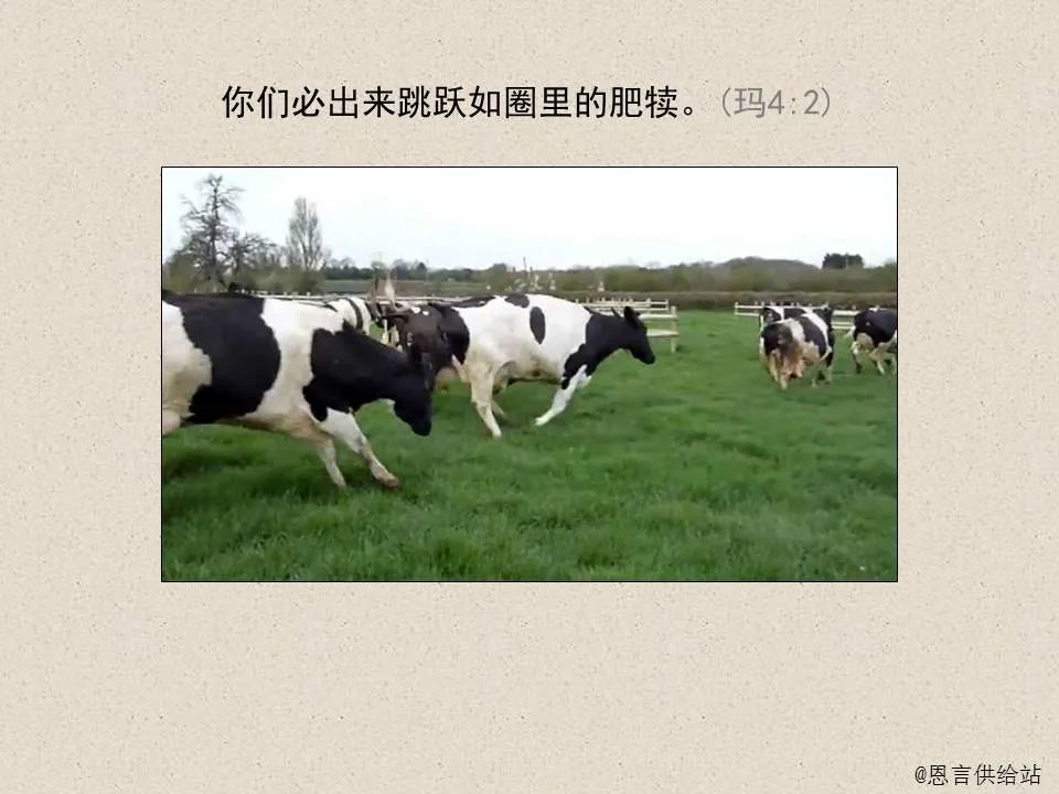 圣经图表——《玛拉基书》(图18) 圣经图表——《玛拉基书》(图18)