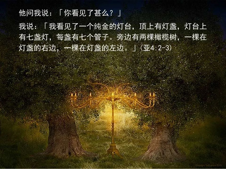 圣经图表——《撒迦利亚书》(图21) 圣经图表——《撒迦利亚书》(图21)