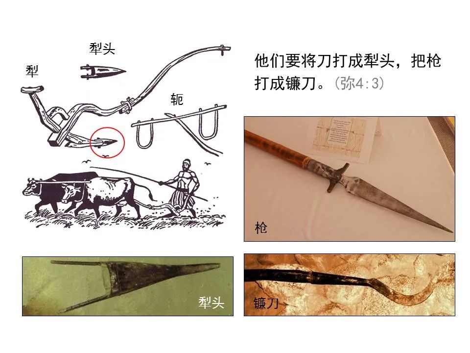 圣经图表——《弥迦书》(图16) 圣经图表——《弥迦书》(图16)