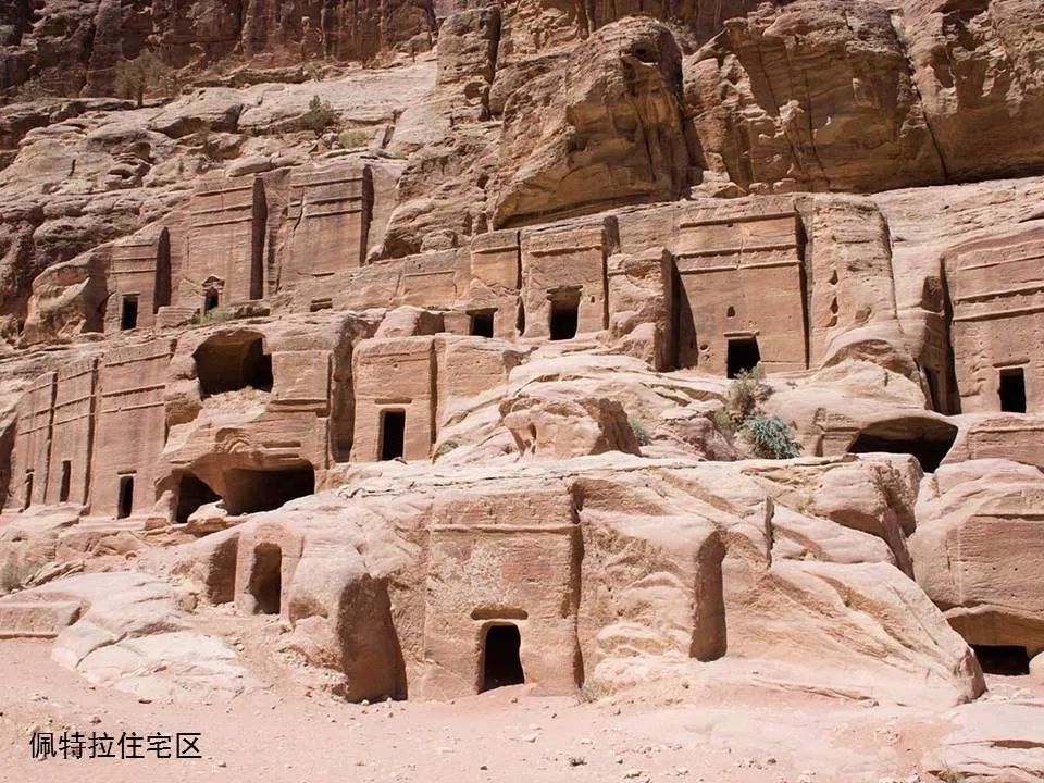 圣经图表——《俄巴底亚书》(图19) 圣经图表——《俄巴底亚书》(图19)