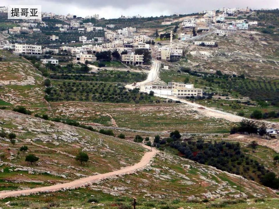 圣经图表——《阿摩司书》(图3) 圣经图表——《阿摩司书》(图3)