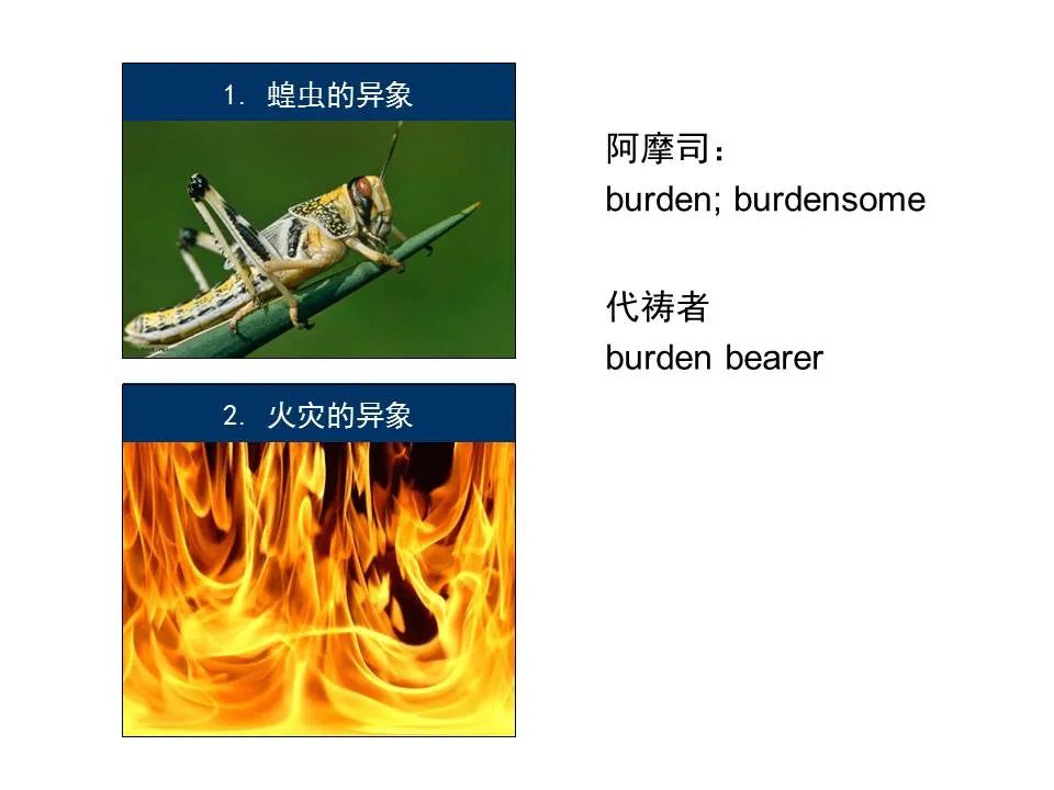 圣经图表——《阿摩司书》(图39) 圣经图表——《阿摩司书》(图39)