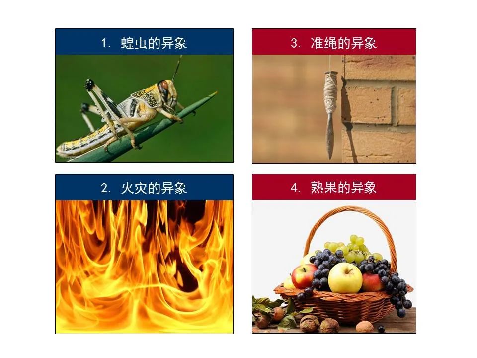 圣经图表——《阿摩司书》(图41) 圣经图表——《阿摩司书》(图41)