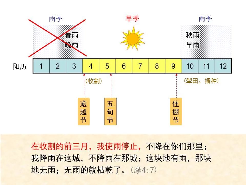 圣经图表——《阿摩司书》(图26) 圣经图表——《阿摩司书》(图26)