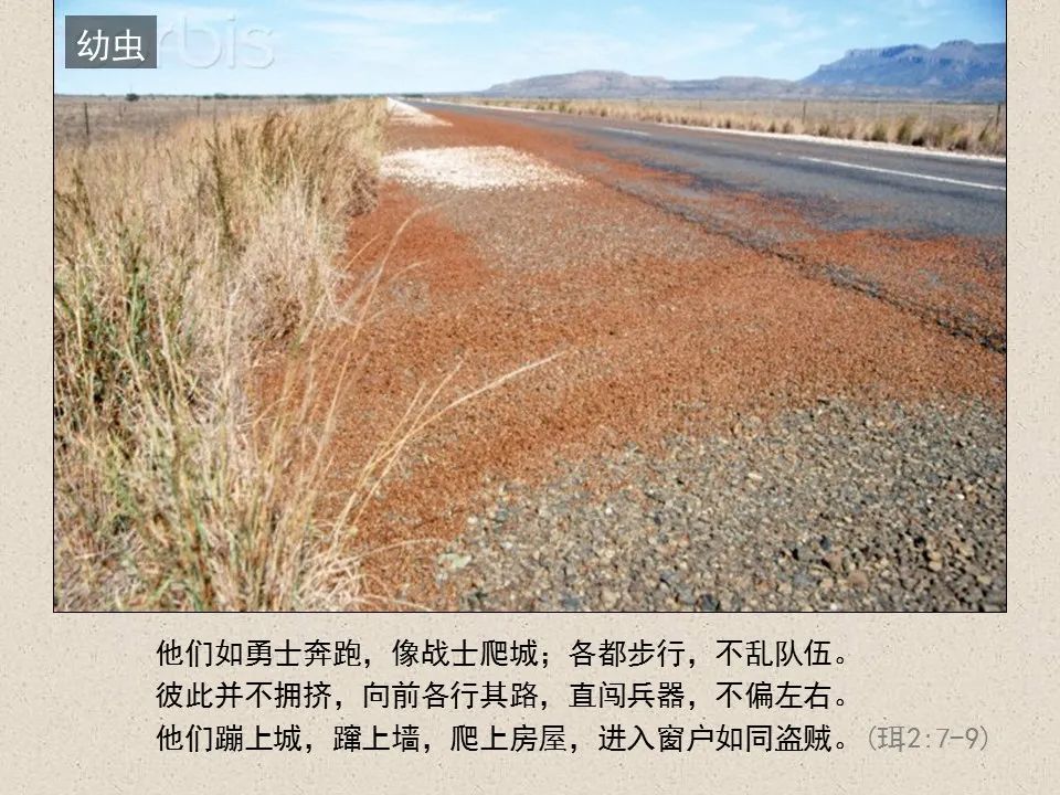 圣经图表——《约珥书》(图8) 圣经图表——《约珥书》(图8)