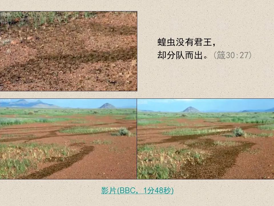 圣经图表——《约珥书》(图19) 圣经图表——《约珥书》(图19)