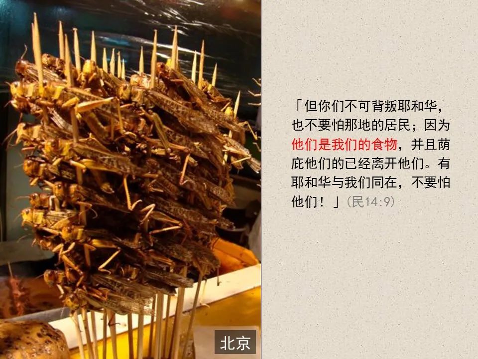 圣经图表——《约珥书》(图23) 圣经图表——《约珥书》(图23)