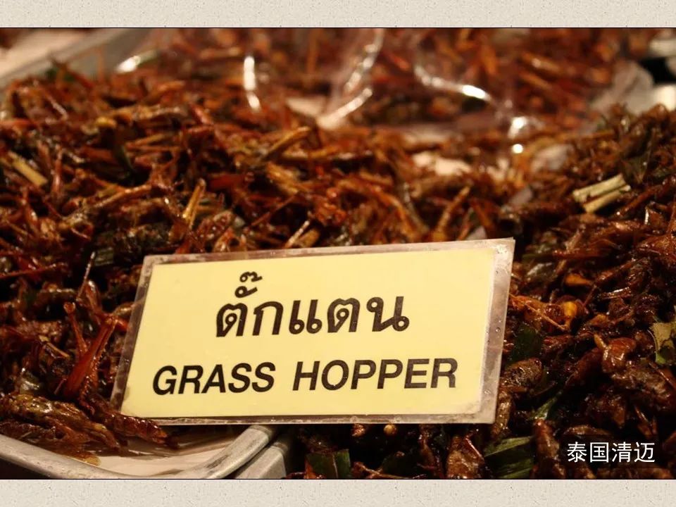 圣经图表——《约珥书》(图24) 圣经图表——《约珥书》(图24)