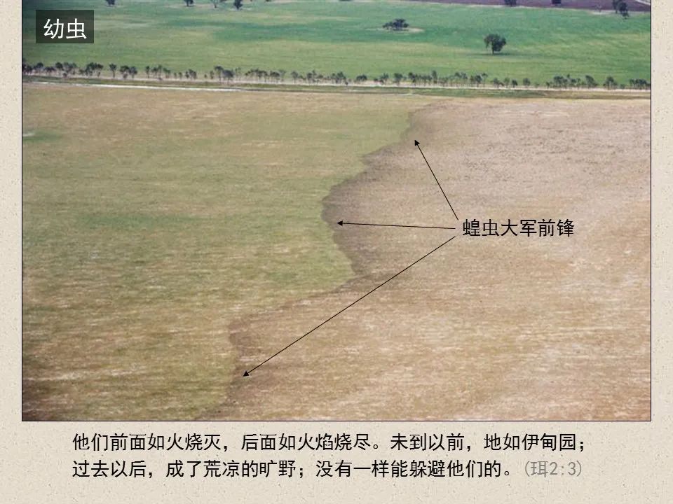 圣经图表——《约珥书》(图11) 圣经图表——《约珥书》(图11)