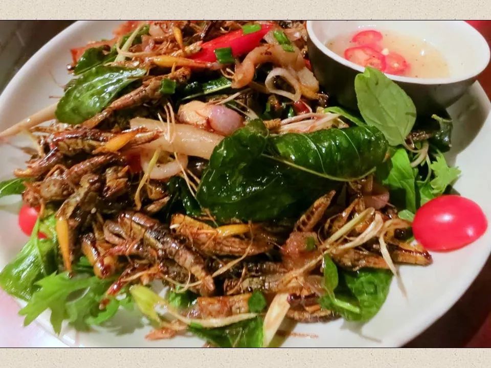 圣经图表——《约珥书》(图48) 圣经图表——《约珥书》(图48)