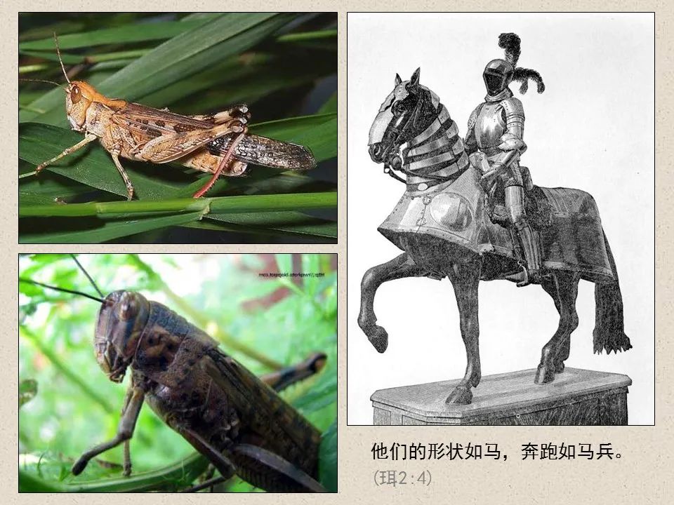 圣经图表——《约珥书》(图38) 圣经图表——《约珥书》(图38)