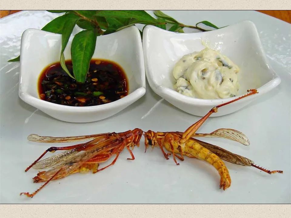 圣经图表——《约珥书》(图47) 圣经图表——《约珥书》(图47)