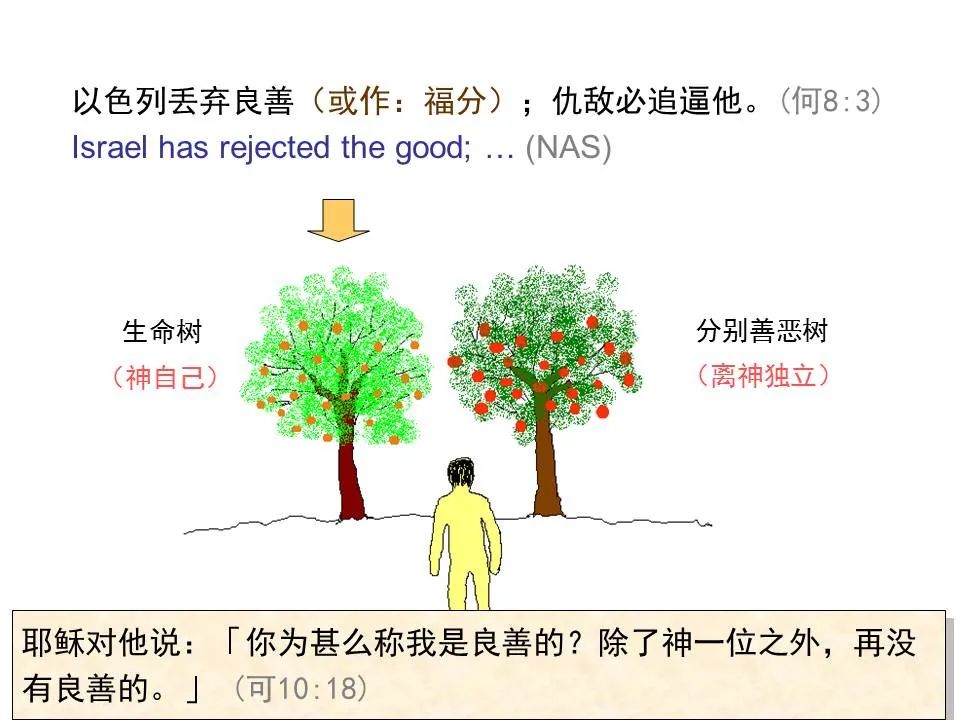 圣经图表——《何西阿书》(图26) 圣经图表——《何西阿书》(图26)