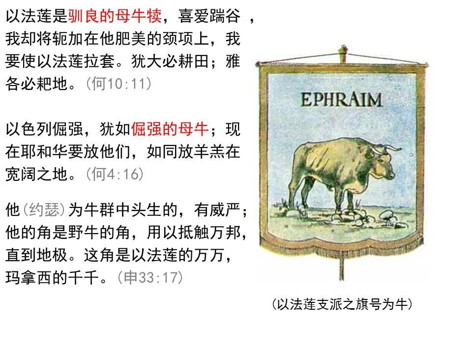 圣经图表——《何西阿书》(图29) 圣经图表——《何西阿书》(图29)