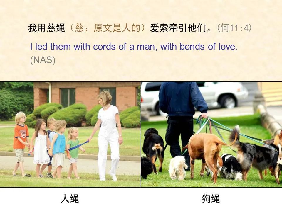 圣经图表——《何西阿书》(图40) 圣经图表——《何西阿书》(图40)