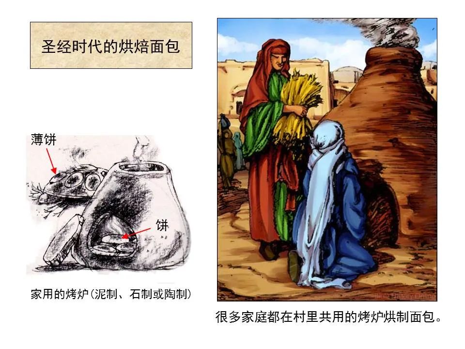 圣经图表——《何西阿书》(图19) 圣经图表——《何西阿书》(图19)