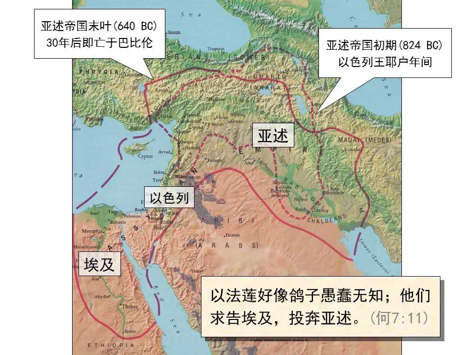 圣经图表——《何西阿书》(图25) 圣经图表——《何西阿书》(图25)