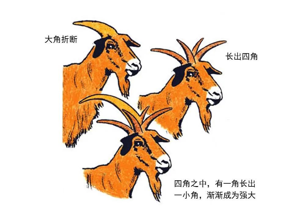 圣经图表——《但以理书》(图36) 圣经图表——《但以理书》(图36)