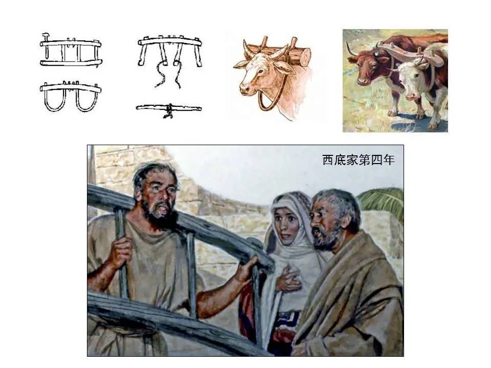 圣经图表——《耶利米书》下(图6) 圣经图表——《耶利米书》下(图6)