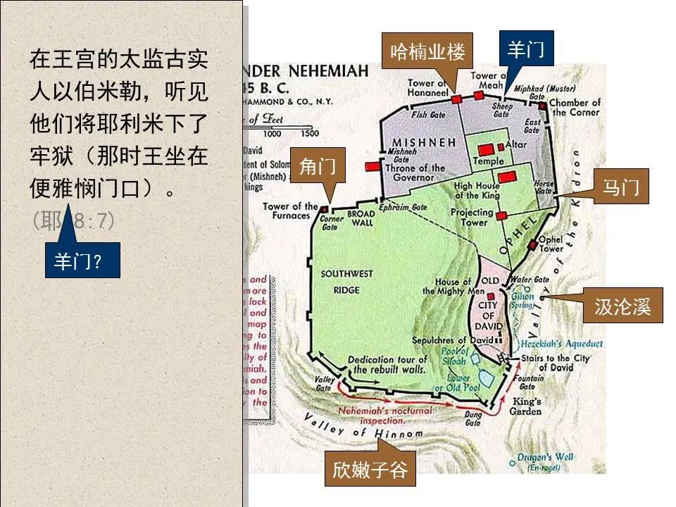 圣经图表——《耶利米书》下(图29) 圣经图表——《耶利米书》下(图29)