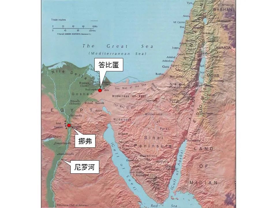 圣经图表——《耶利米书》上(图12) 圣经图表——《耶利米书》上(图12)